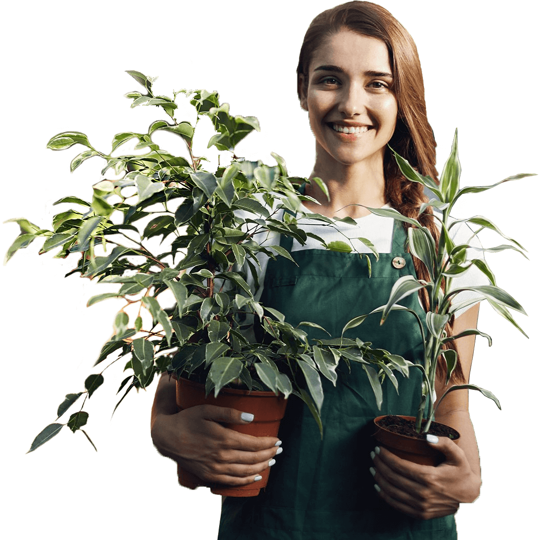 Garland Our services